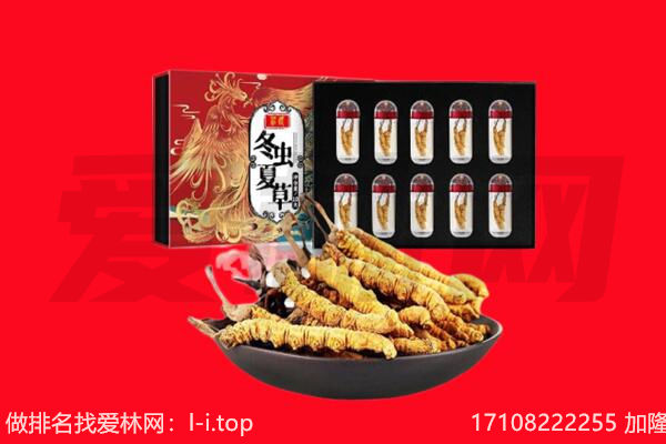 怒江州回收虫草.jpg